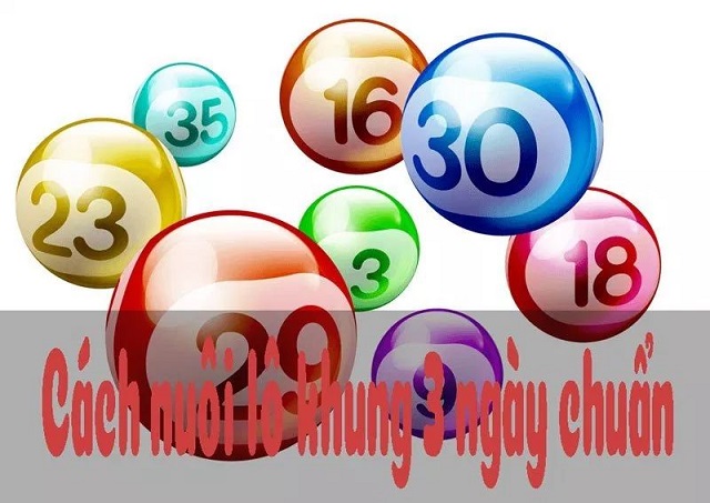 Hướng dẫn cách nuôi lô 3 ngày siêu đơn giản “trúng đậm”