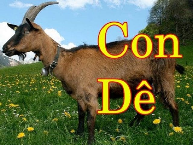 Con dê mang ý nghĩa phong thủy gì?