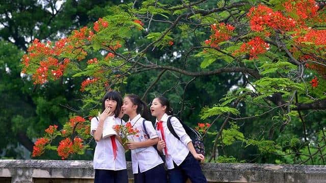 Mỗi giấc mơ liên quan đến đi học sẽ ẩn chứa những con số đặc biệt