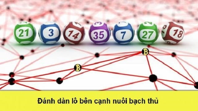 Đánh dàn lô bên cạnh nuôi bạch thủ
