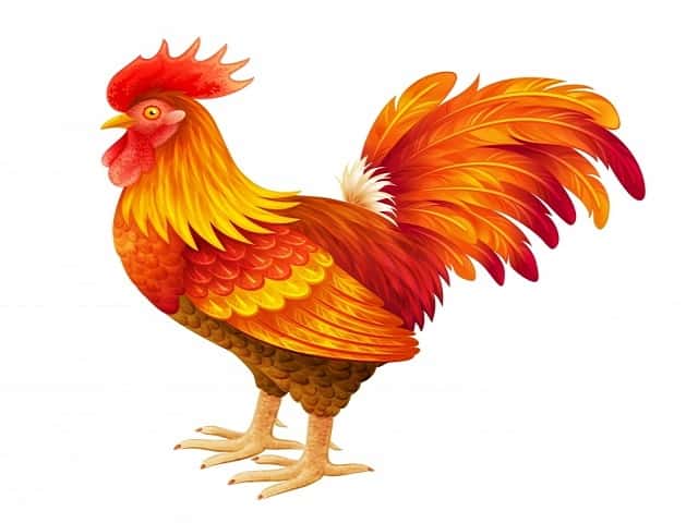 Ý nghĩa các con số liên quan đến hình ảnh con vật