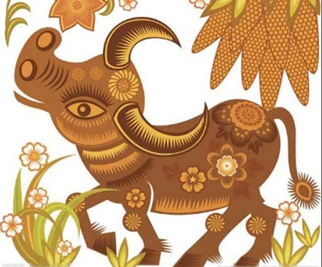 2021 thuộc năm Tân Sửu (tuổi con trâu)
