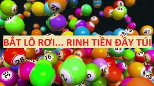 Tham gia soi cầu lô rơi cơ hội trúng cao