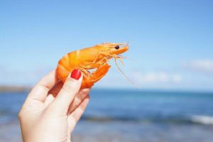Ngủ mơ nhìn thấy tôm chết thường báo hiệu điều không may mắn