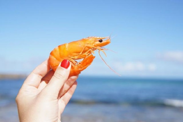 Ngủ mơ nhìn thấy tôm chết thường báo hiệu điều không may mắn