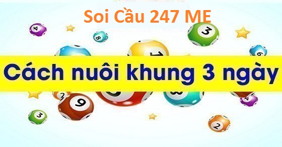 Nuôi đầu đuôi đặc biệt trong 3 ngày chuẩn xác nhất tại soi cầu 247