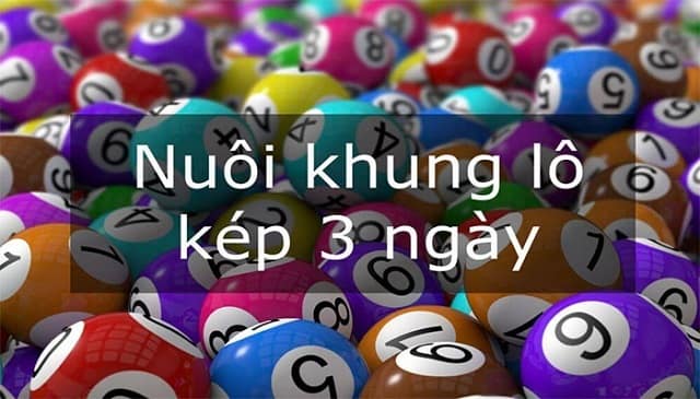 Có nhiều phương pháp bắt lô kép hiệu quả để nuôi khung 3 ngày