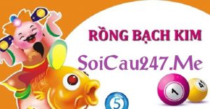 Rong bach kim - Soi cầu rồng bạch kim miễn phí hôm nay