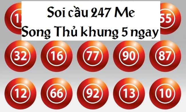Bắt song thủ lô nuôi khung 5 ngày hiệu quả