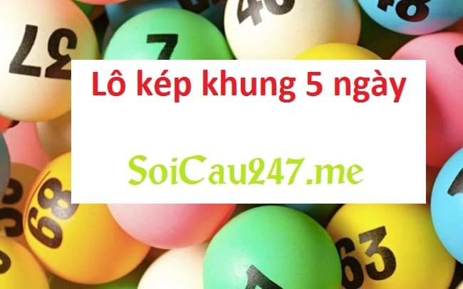 Phương pháp bắt lô kép nuôi khung 5 ngày với tỷ lệ trúng cao