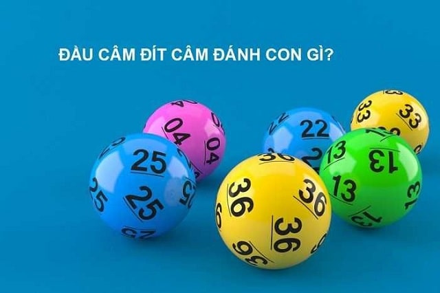 Bắt lô đề dựa vào đâu 7 câm được nhiều cao thủ lựa chọn