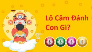 Bắt lô đề may mắn từ lô đầu 9 câm