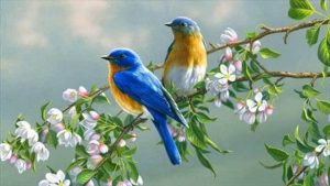 Chiêm bao thấy con chim đậu trên tay báo hiệu điềm lành