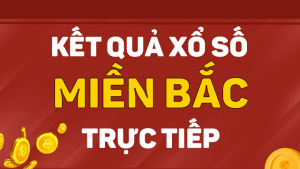 Chơi xổ số tại DK8 hỗ trợ tư vấn