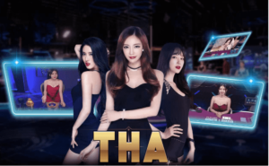 Những điểm đặc biệt của nhà cái Tha Casino