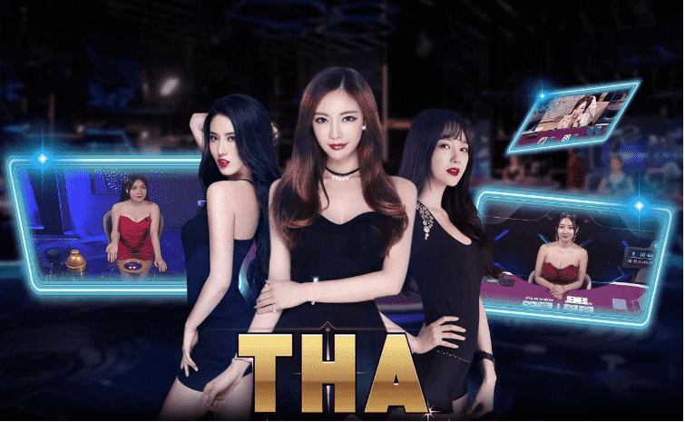 Những điểm đặc biệt của nhà cái Tha Casino