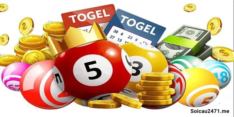 Khái niệm bạch thủ lô 5 ngày