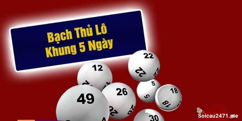 Bạch thủ lô nuôi khung 5 ngày bất bại miễn phí