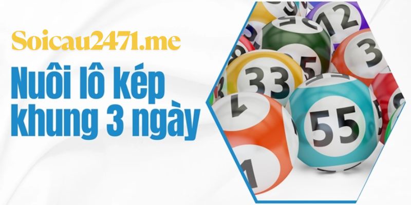 Hiểu về các loại lô kép để nuôi khung