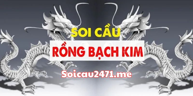 Rồng Bạch Kim – Soi Cầu Rồng Bạch Kim 666 Duy Nhất