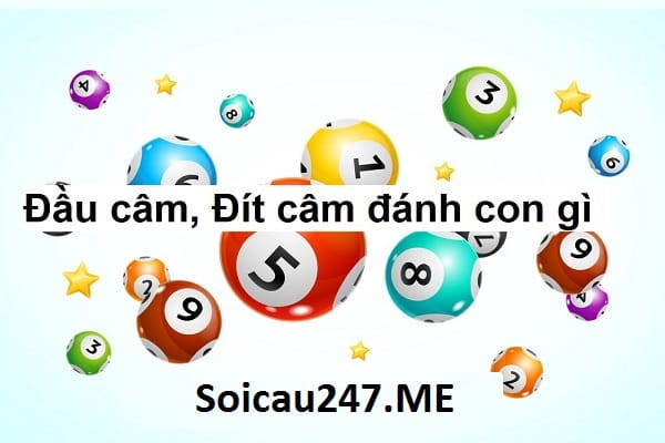 Khi đầu câm đít câm đánh con gì? Kinh nghiệm cược theo bạc nhớ