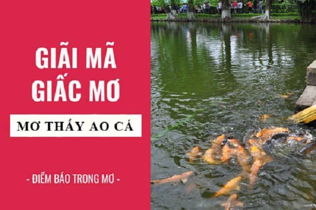 Mơ thấy ao cá đánh đề con gì? Giải mã giấc mơ thấy ao cá