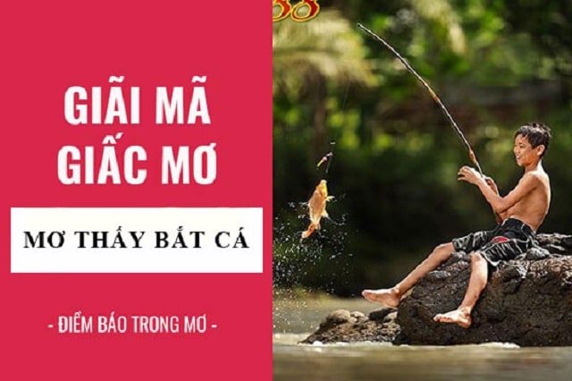 Mơ thấy bắt cá đánh con gì? Ý nghĩa về giấc mơ thấy bắt cá