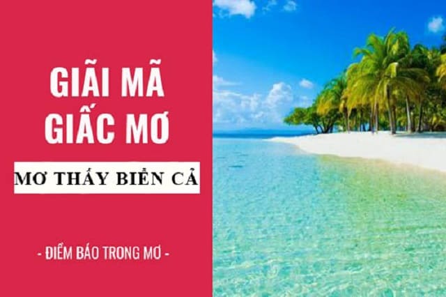 Mơ thấy biển đánh số mấy? Khám phá ý nghĩa chiêm bao thấy biển