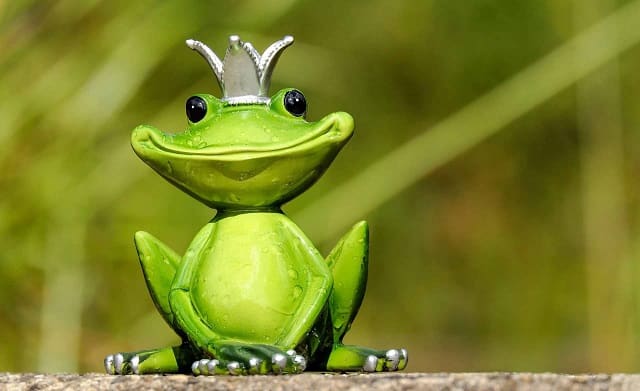 Mơ thấy ếch đánh con gì may mắn? Và ý nghĩa đằng sau