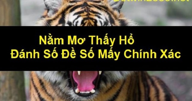 Mơ thấy hổ đánh con gì chuẩn nhất? Chiêm bao thấy con hổ là điềm báo gì?
