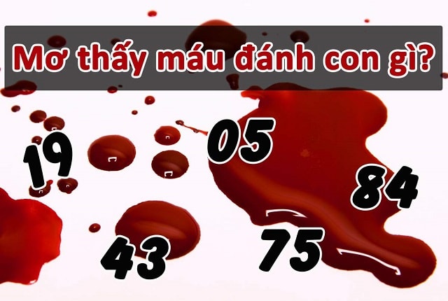 Giải mã giấc mơ thấy máu nên đánh con gì chuẩn nhất?