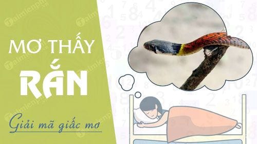 Mơ thấy rắn nên đánh con gì? Giải mã chiêm bao thấy rắn?