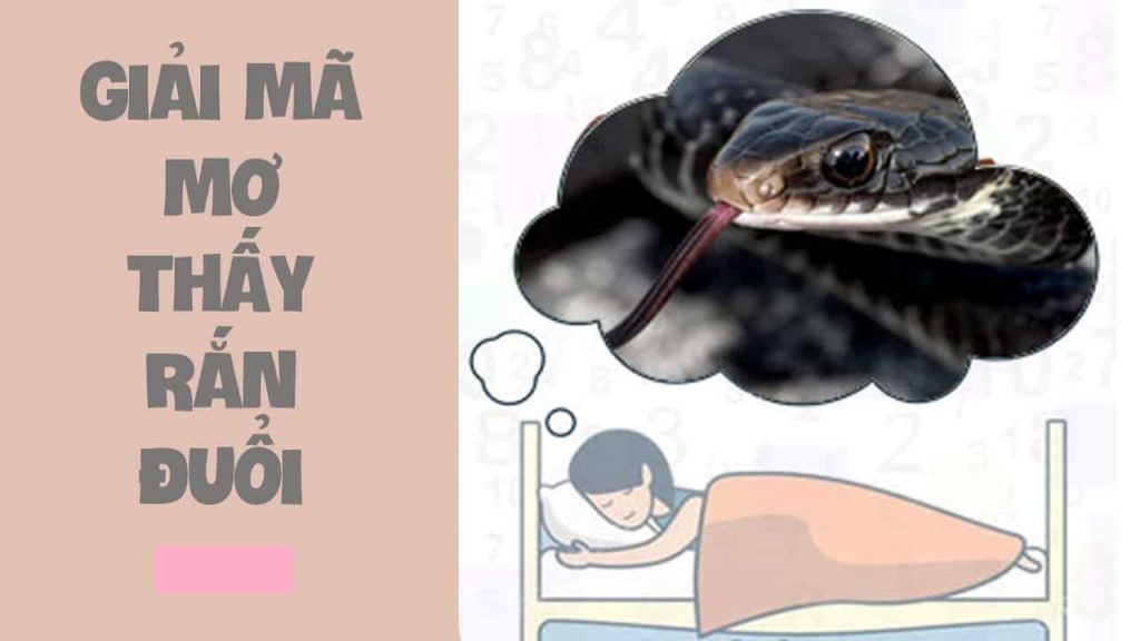 Nằm mơ thấy rắn đuổi đánh con gì? mang ý nghĩa như thế nào?