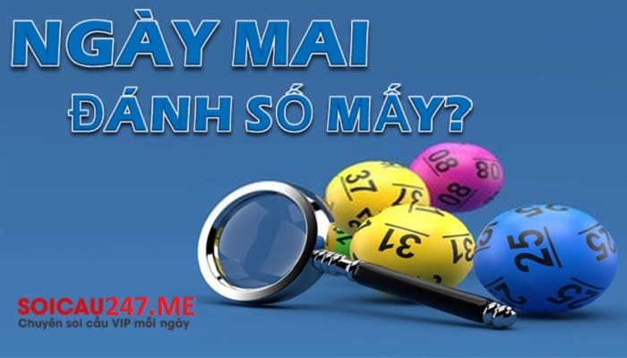 Giải đáp thắc mắc: Ngày mai mua con số gì đánh dễ trúng?