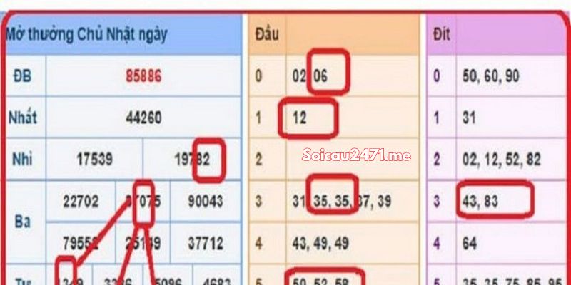 Vì Sao Nên Xem Soi Cầu Hôm Nay Trên Soi Cầu 247?