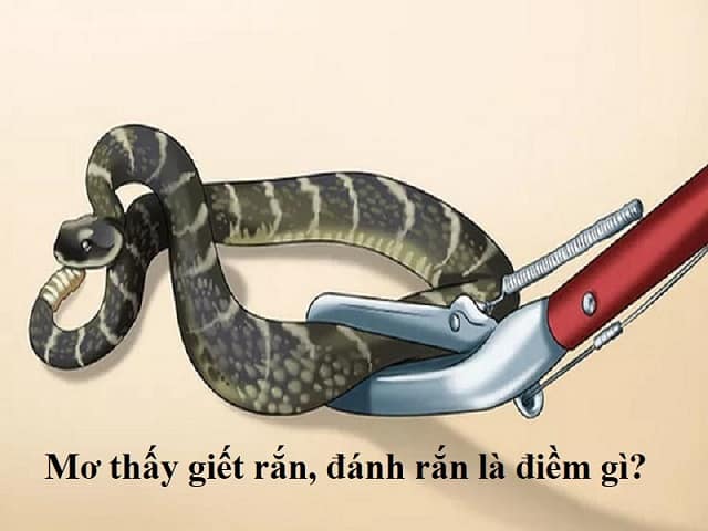 Lý giải ý nghĩa giấc mơ thấy giết rắn – Nên đánh con gì trúng lớn?